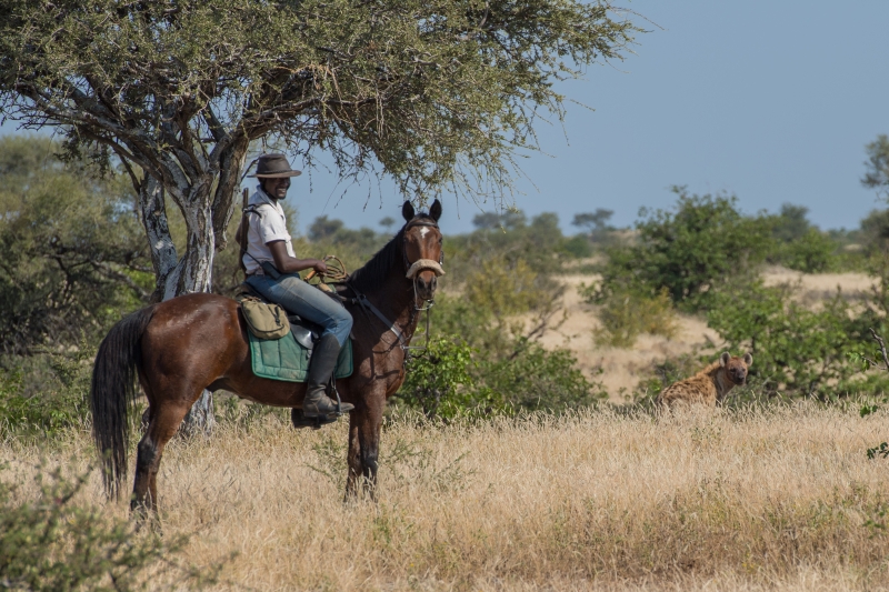 Safari à cheval AFRIQUE DU SUD & BOTSWANA : EXPLORATION DE L'AFRIQUE DU